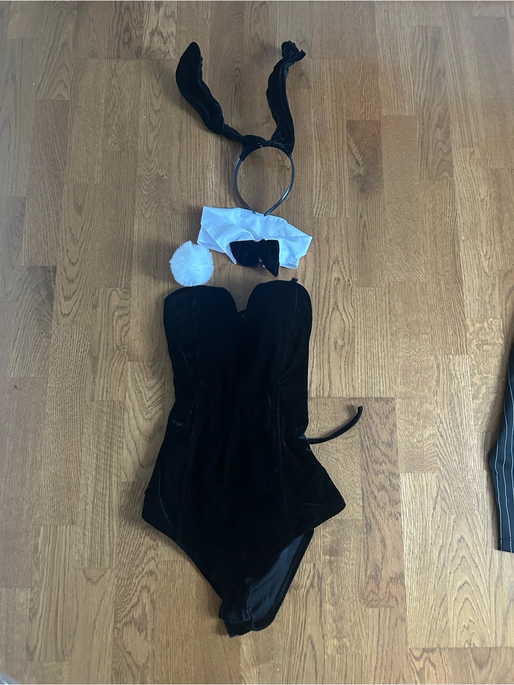 Black Velvet Bunny One-Piece Costume